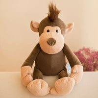 Peluche Singe Grand Bras