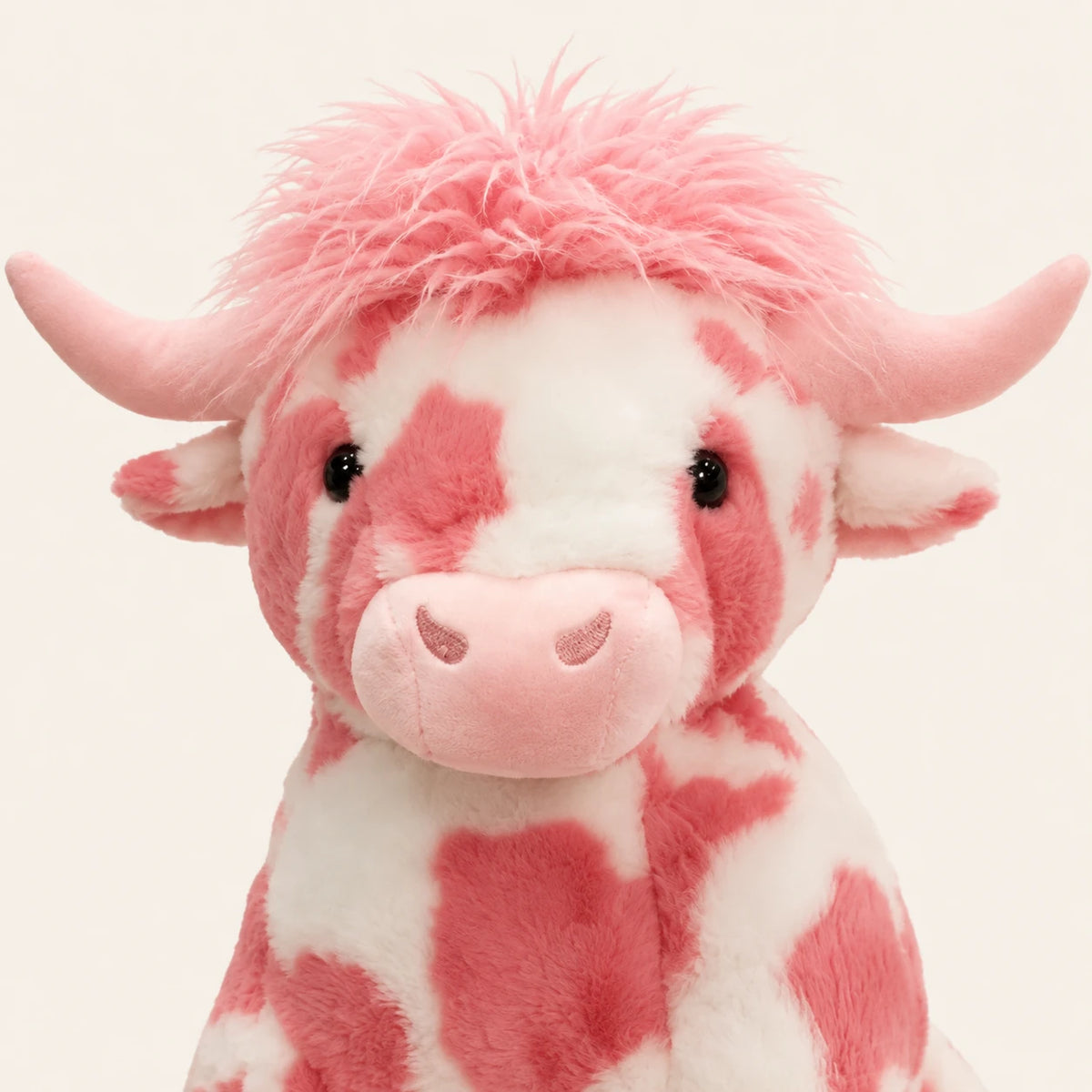 Gros plan visage peluche vache Highland rose, fond ivoire