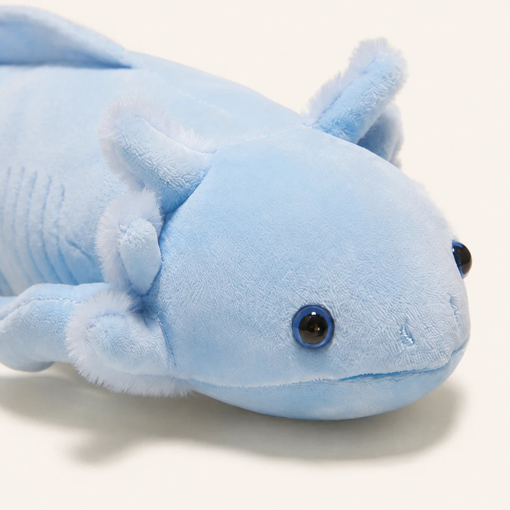 Peluche axolotl bleu, gros plan sur le visage et la texture