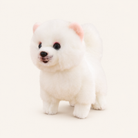 Peluche chien poméranien réaliste blanc sur fond ivoire