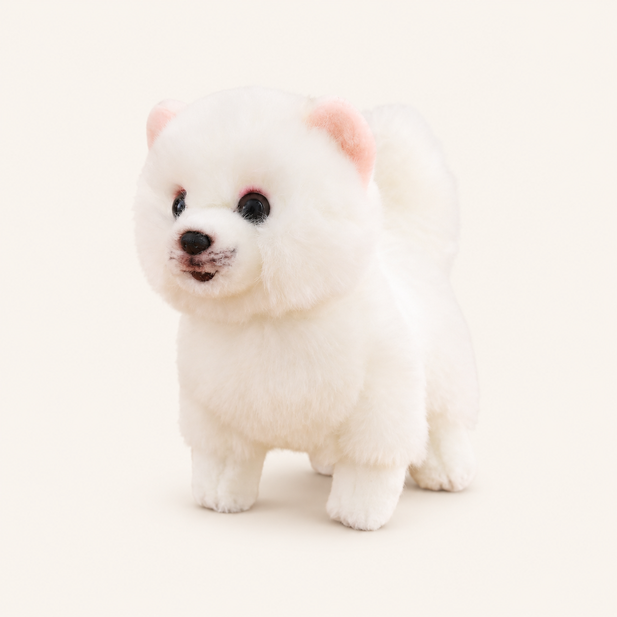 Peluche chien poméranien réaliste blanc sur fond ivoire