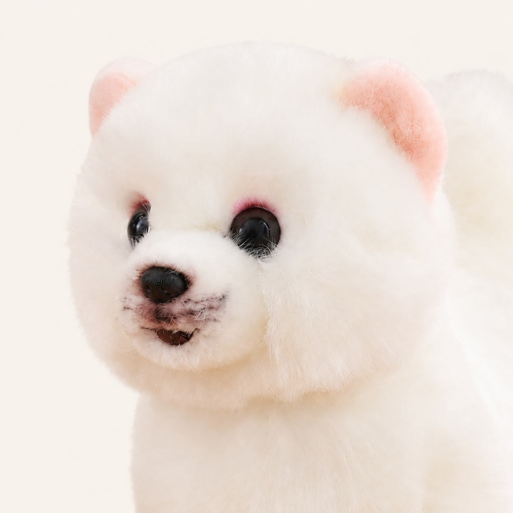 Détail du visage de la peluche poméranien