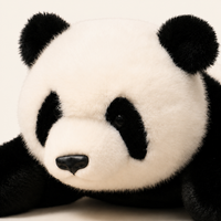 Coussin peluche panda, gros plan visage - Royaume Peluche