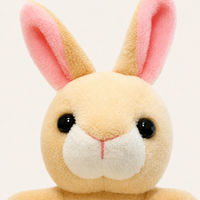 Gros plan sur le visage du lapin peluche