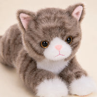 Peluche chat realiste gris, gros plan detail du visage