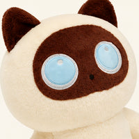 Détail visage et texture peluche coussin chat