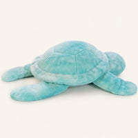 Peluche tortue turquoise - autre angle