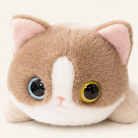 Peluche chat ragdoll 40 cm - détail visage