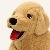 Peluche chien Labrador - détail
