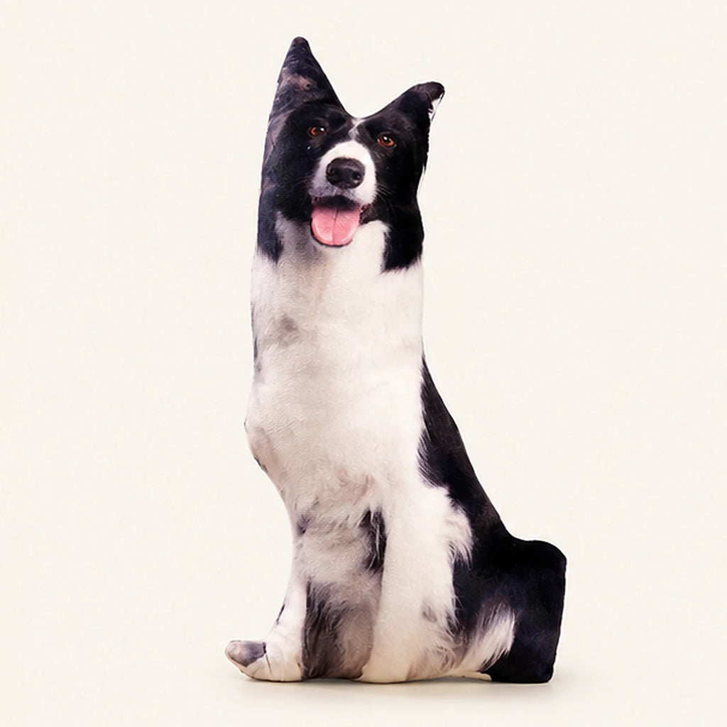 Coussin peluche chien Border Collie 50 cm — vue principale