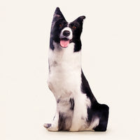 Coussin peluche chien Border Collie 50 cm — vue principale