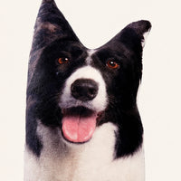 Coussin peluche chien Border Collie — détail texture