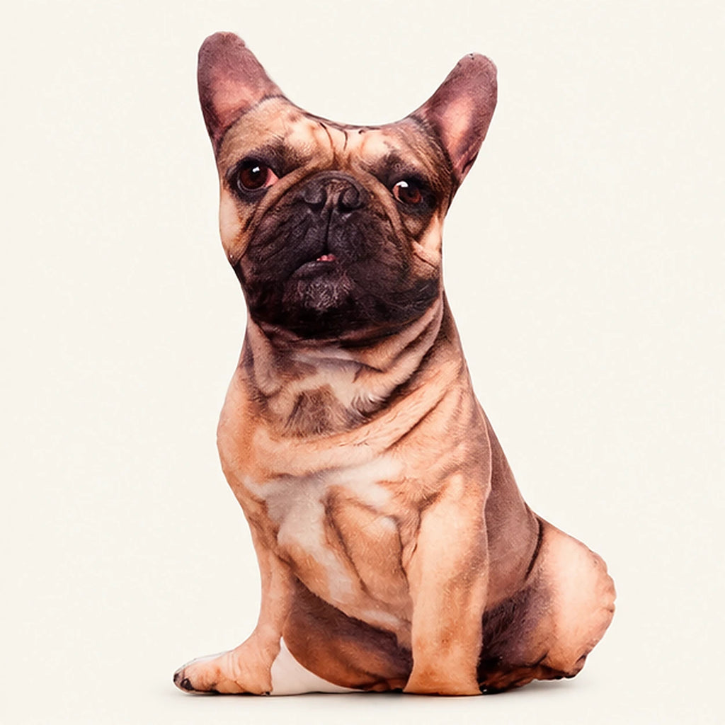 Coussin peluche bouledogue français 50 cm — vue principale