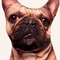 Coussin peluche bouledogue français — détail texture