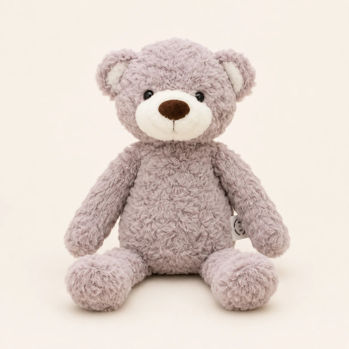 Ours en peluche gris-taupe assis, vue de face sur fond ivoire
