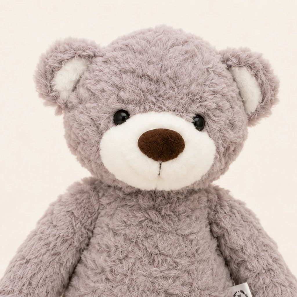 Gros plan sur le visage et la texture bouclée de l'ours en peluche