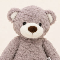 Gros plan sur le visage et la texture bouclée de l'ours en peluche