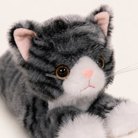Gros plan du visage de la peluche chat gris tigré
