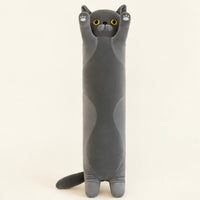 Peluche longue chat gris, vue de face sur fond ivoire