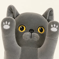 Gros plan sur le visage et la texture de la peluche longue chat