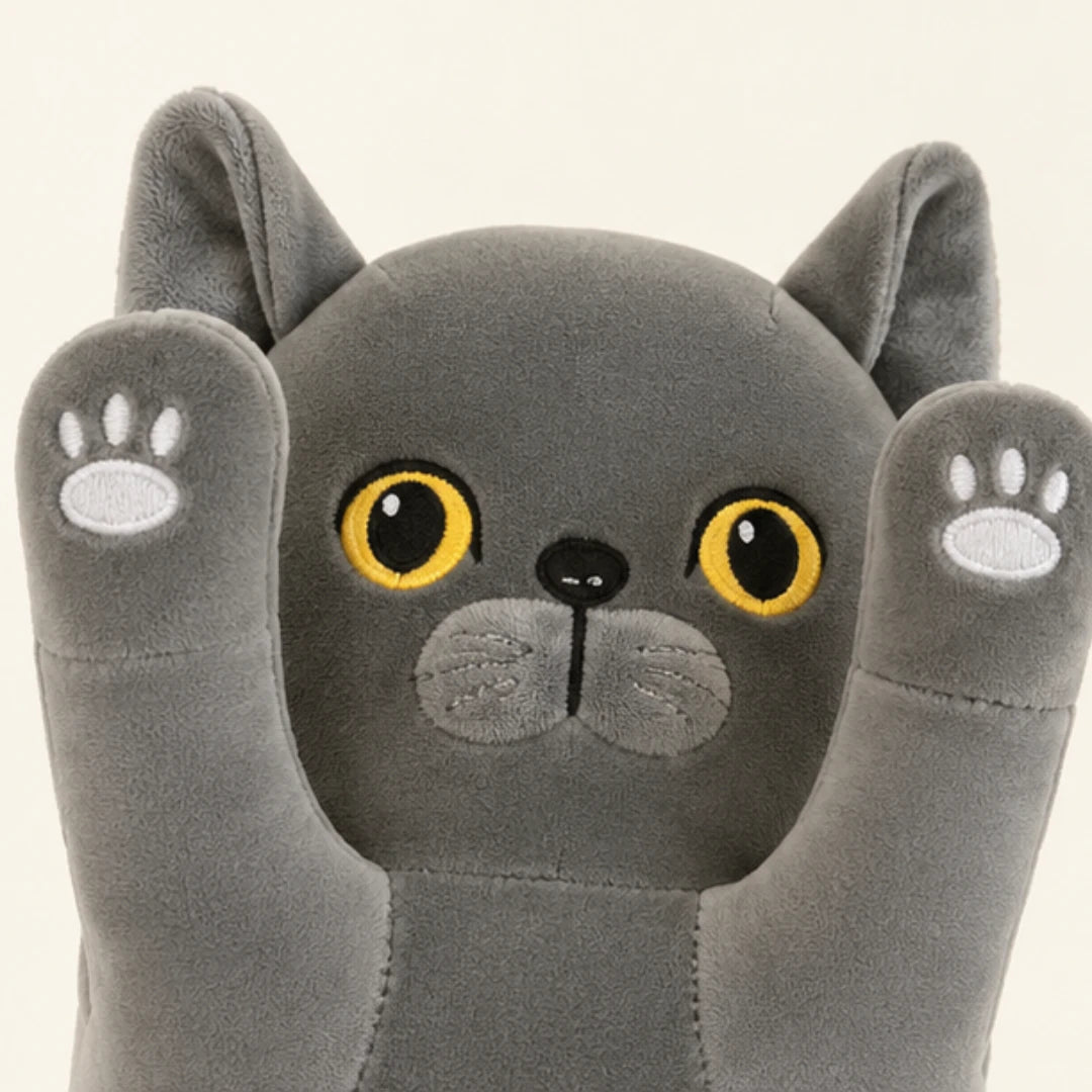 Gros plan sur le visage et la texture de la peluche longue chat