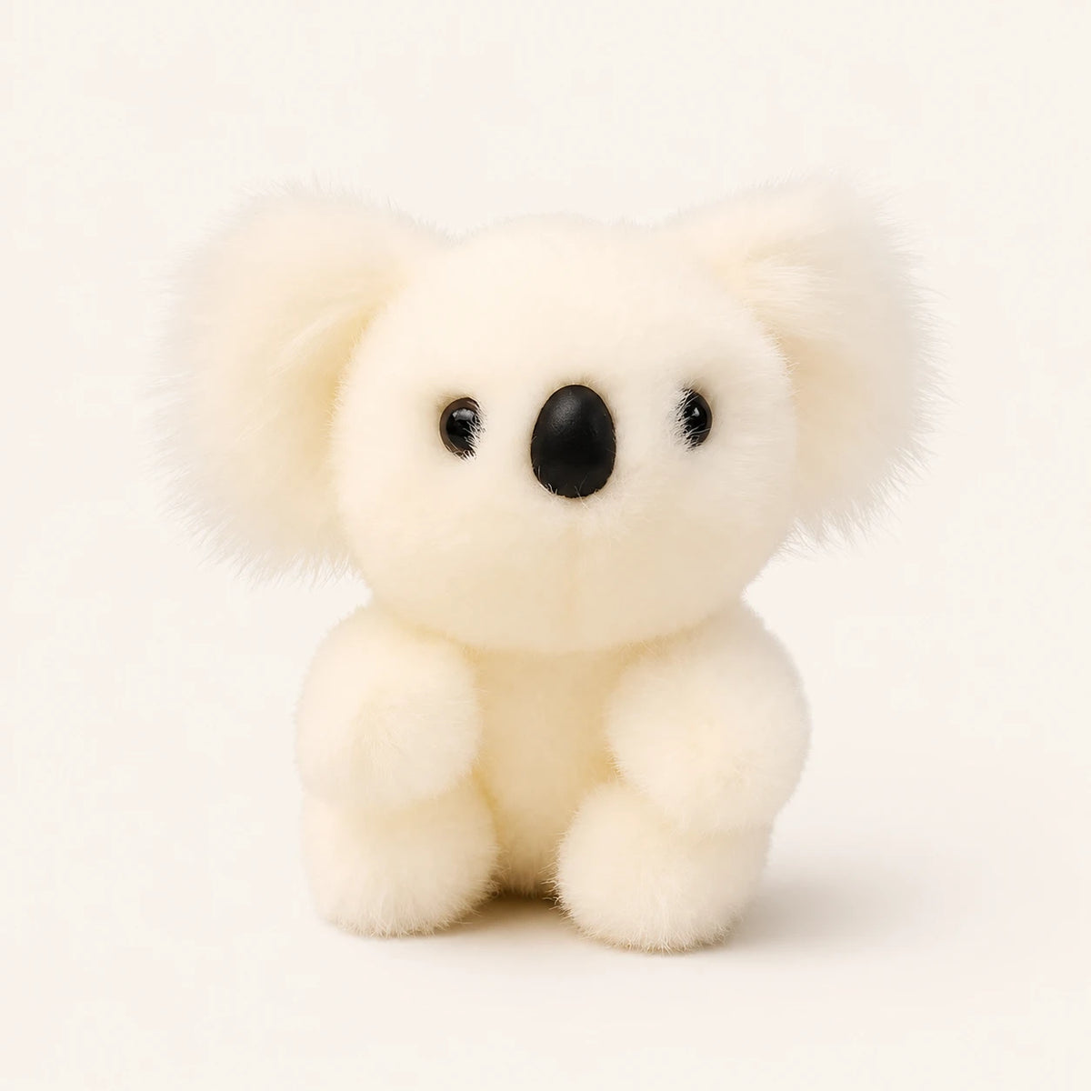 Peluche koala blanc, vue de face sur fond ivoire