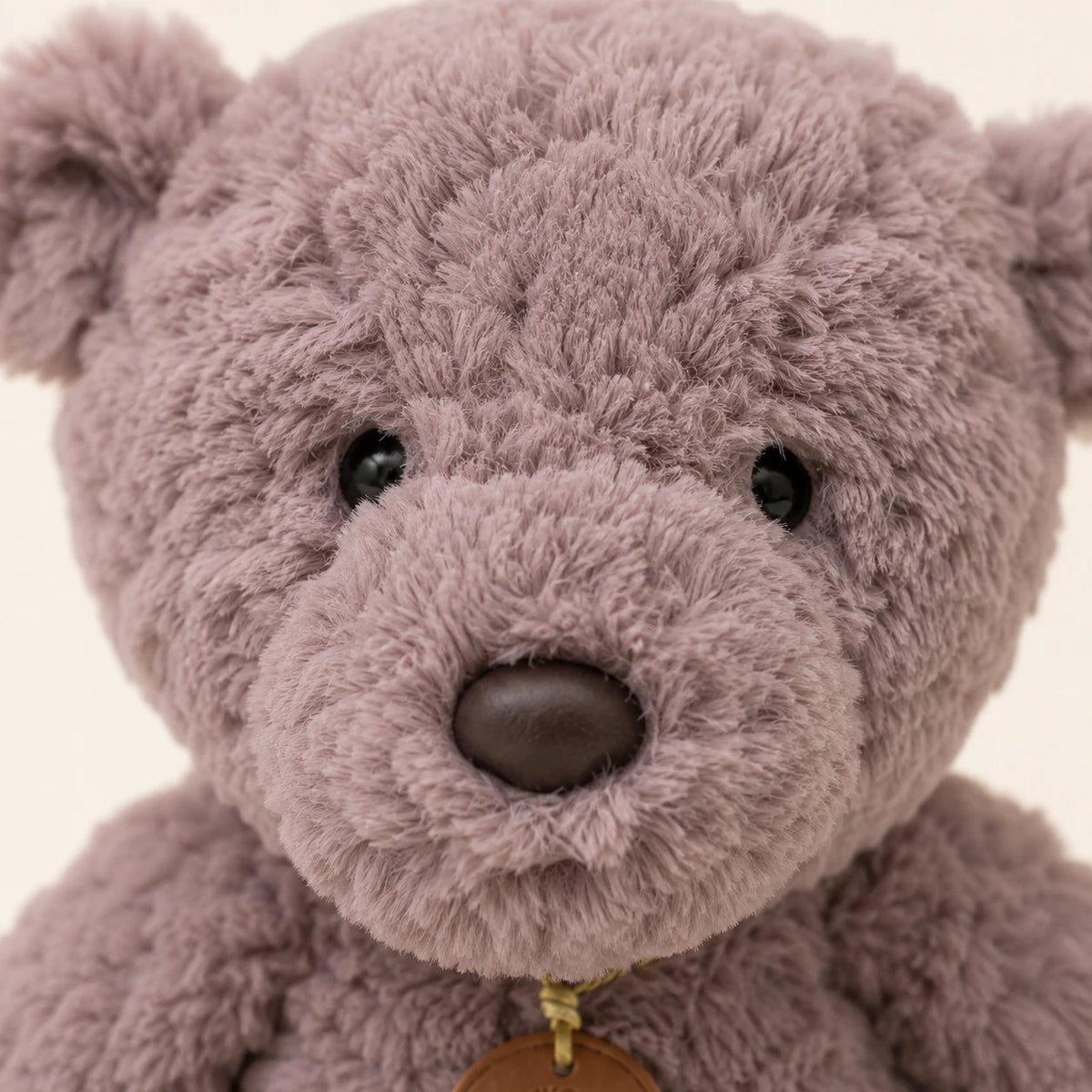 Gros plan sur le visage et la fourrure bouclée de la peluche ours
