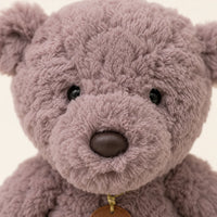 Gros plan sur le visage et la fourrure bouclée de la peluche ours