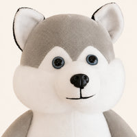 Gros plan du visage de la peluche husky, yeux bleus