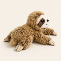 Peluche paresseux, autre angle sur fond ivoire