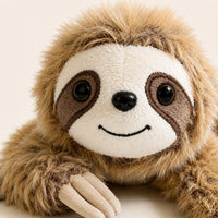 Peluche paresseux, gros plan detail du visage et de la fourrure