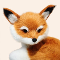 Gros plan sur le visage et la fourrure du mini renard