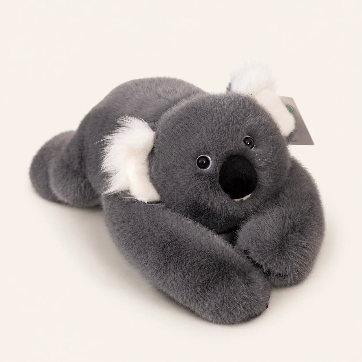 Peluche koala grise allongée, vue de face, fond ivoire