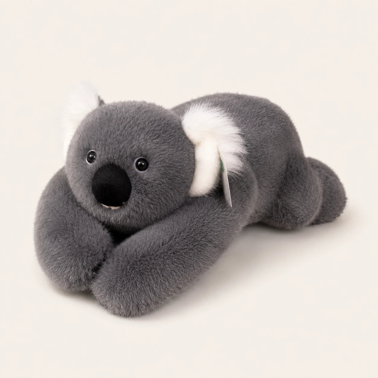 Peluche koala grise, vue de côté, fond ivoire