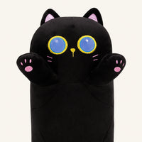 Gros plan sur le visage et les grands yeux du coussin chat noir