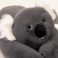 Gros plan sur le visage de la peluche koala grise