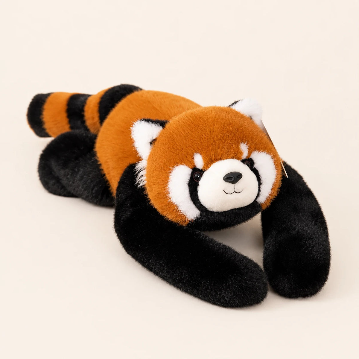 Peluche panda roux allongée, vue de face, fond ivoire