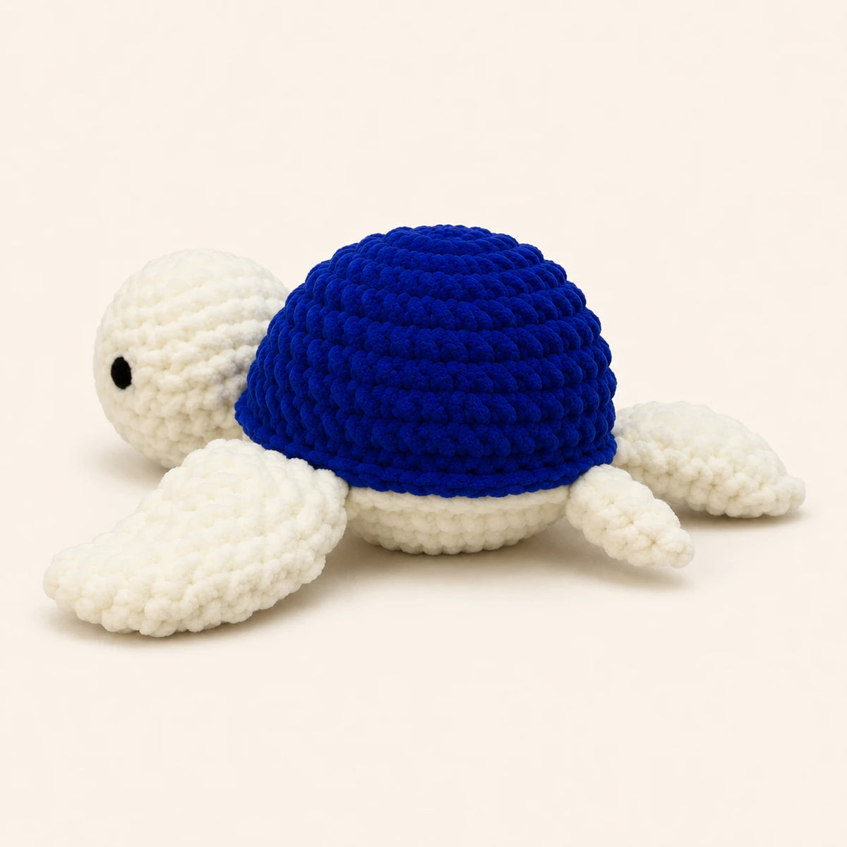 Tortue de mer au crochet, autre angle sur fond ivoire