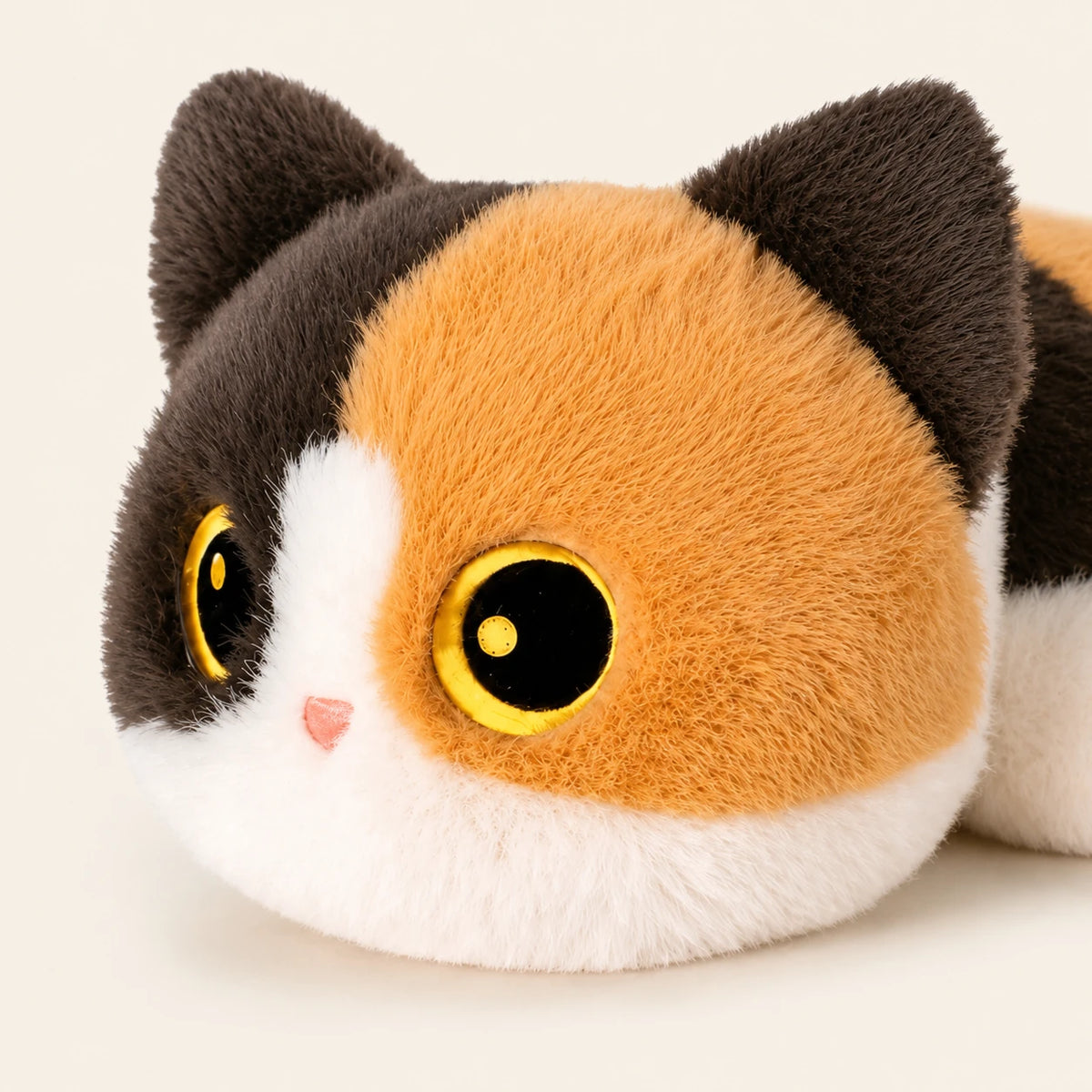 Gros plan sur le visage du chaton tricolore aux yeux dorés