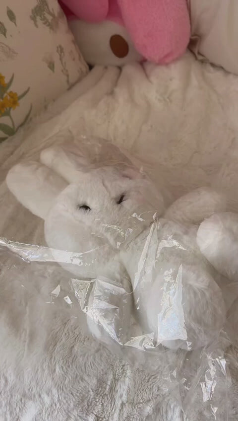 Vidéo