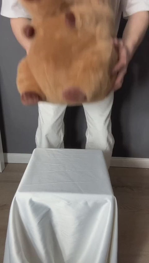 Vidéo