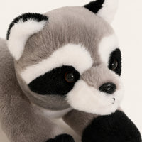 Gros plan sur le visage de la peluche raton laveur