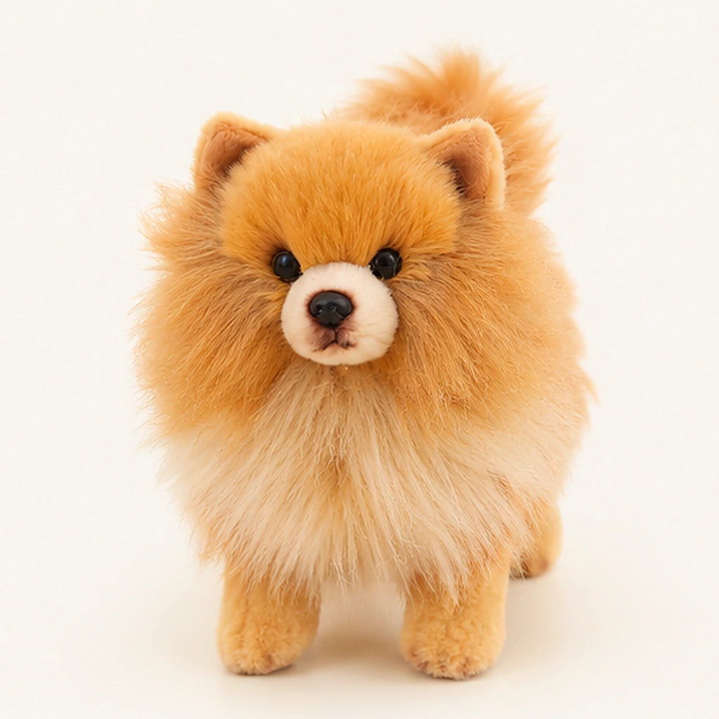 Peluche chien Pomeranien marron 23 cm vue de face