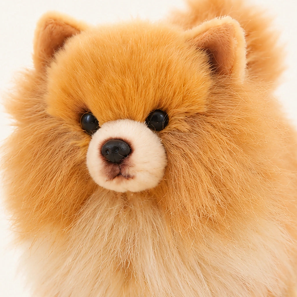 Gros plan visage peluche chien Pomeranien