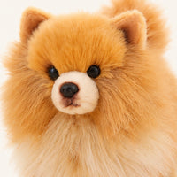 Gros plan visage peluche chien Pomeranien