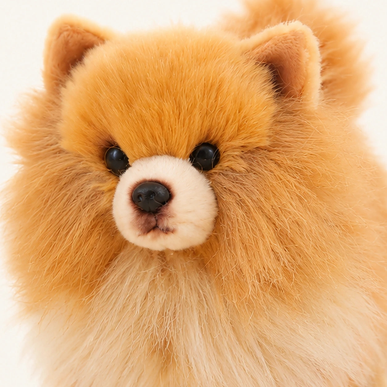 Gros plan visage peluche chien Pomeranien