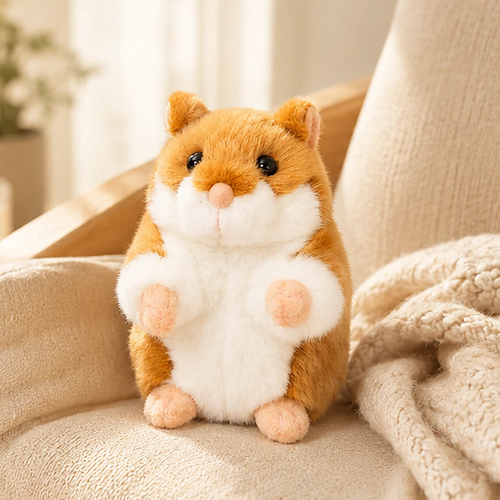 peluche mise en situation