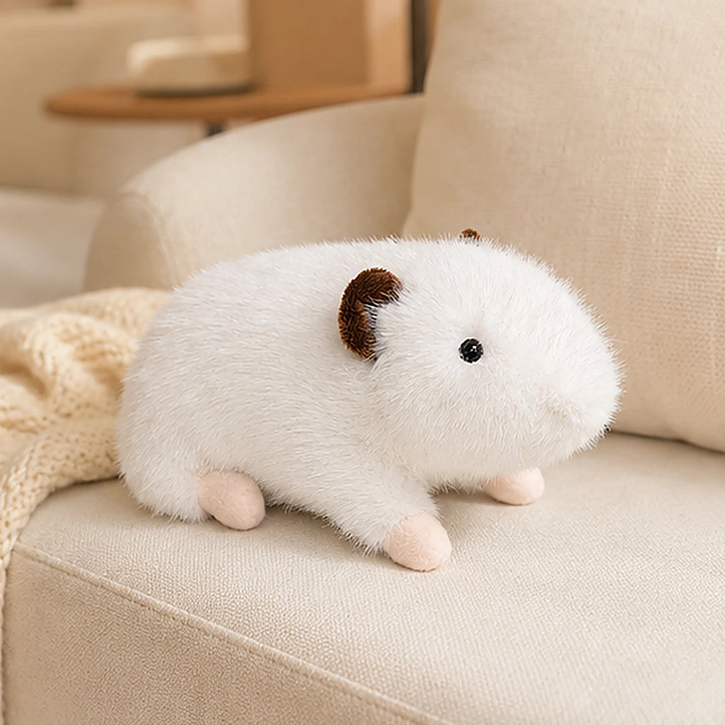 peluche mise en situation