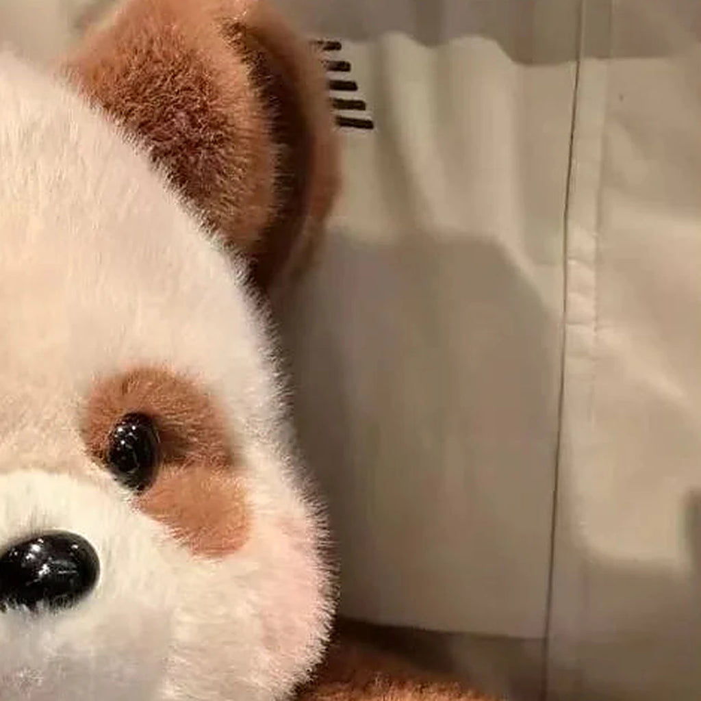 peluche coussin panda brun 45 cm - dos