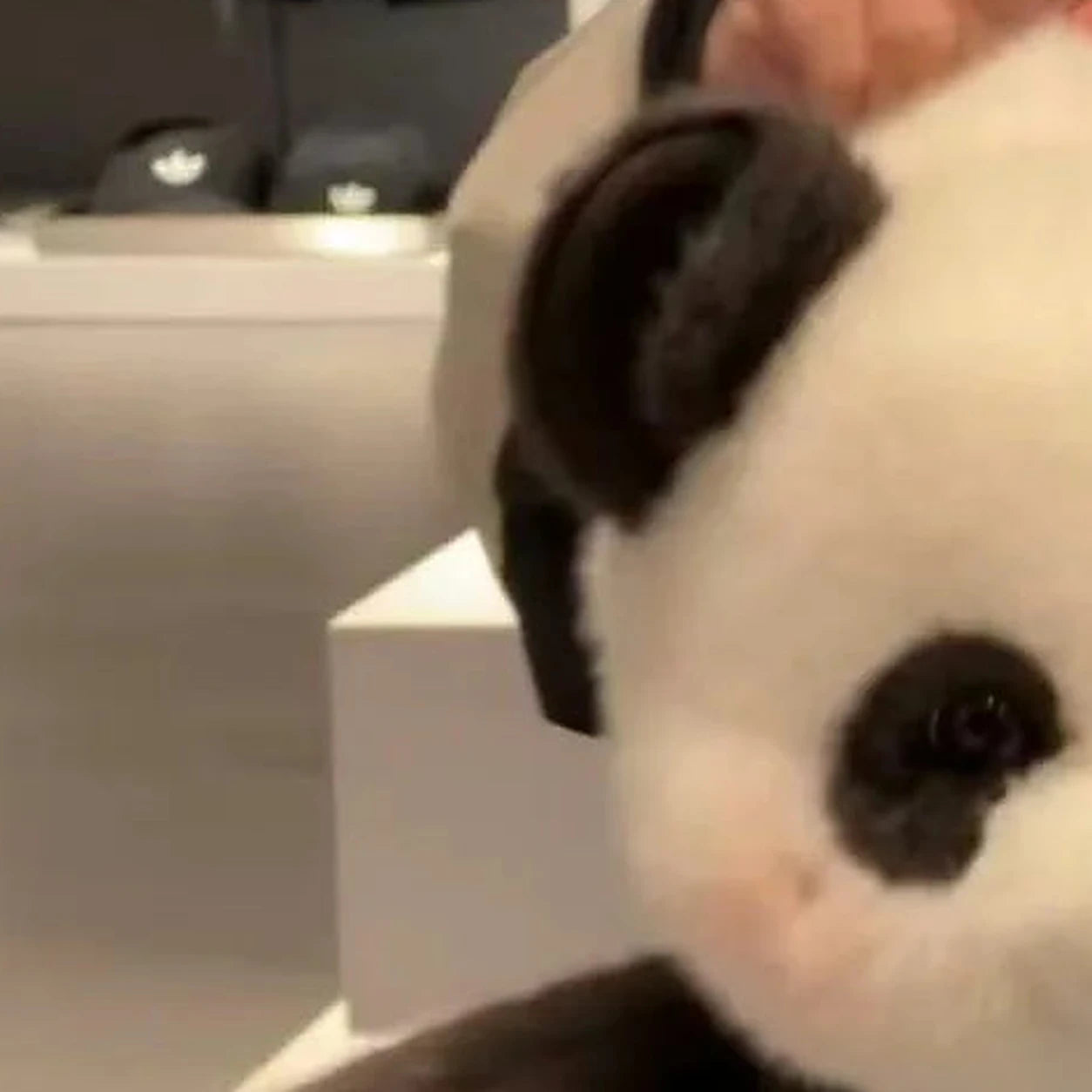 peluche coussin panda noir et blanc 45 cm - face